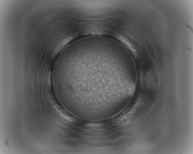 X0000098160537200804241806