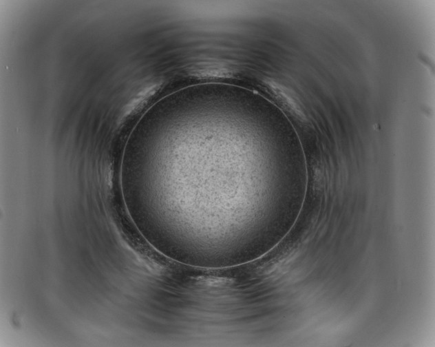 X0000098160539200804241806