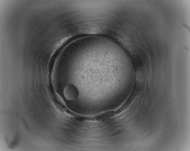 X0000098160540200804241806