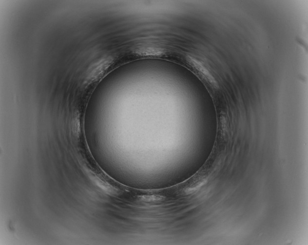 X0000098160541200804241806