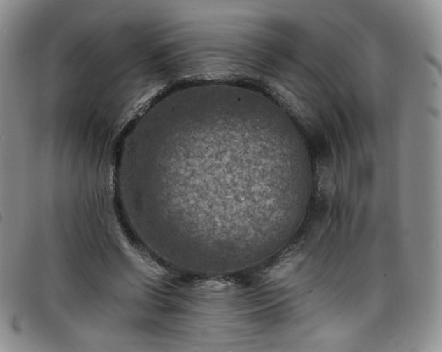 X0000098160542200804241806