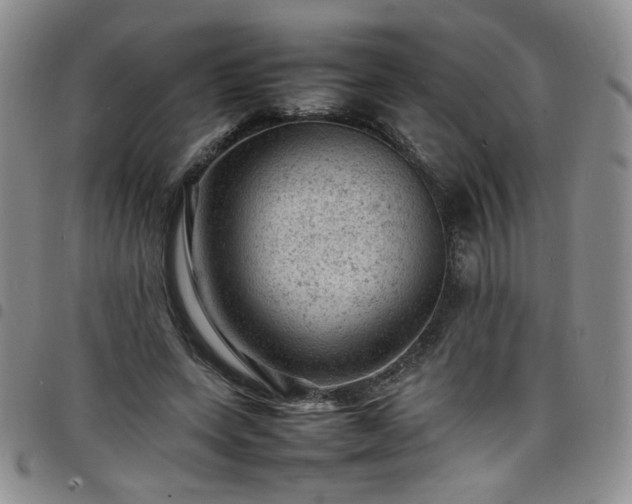 X0000098160543200804241806