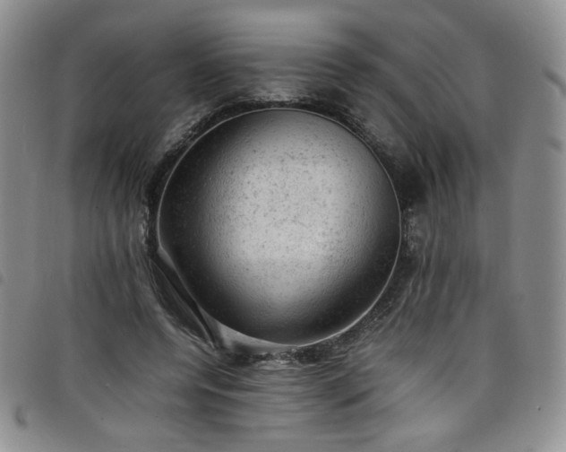 X0000098160544200804241806