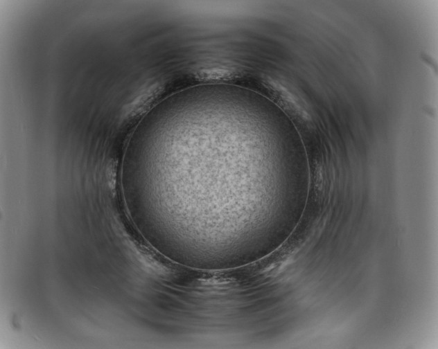X0000098160545200804241806