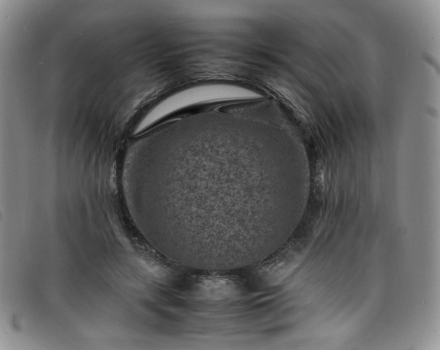 X0000098160547200804241806