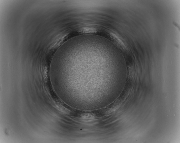 X0000098160549200804241806