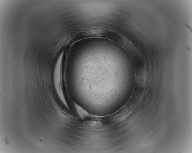 X0000098160552200804241806