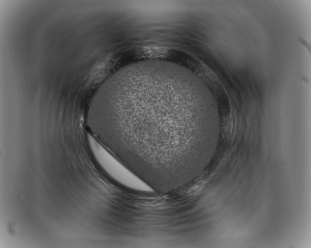 X0000098160553200804241806