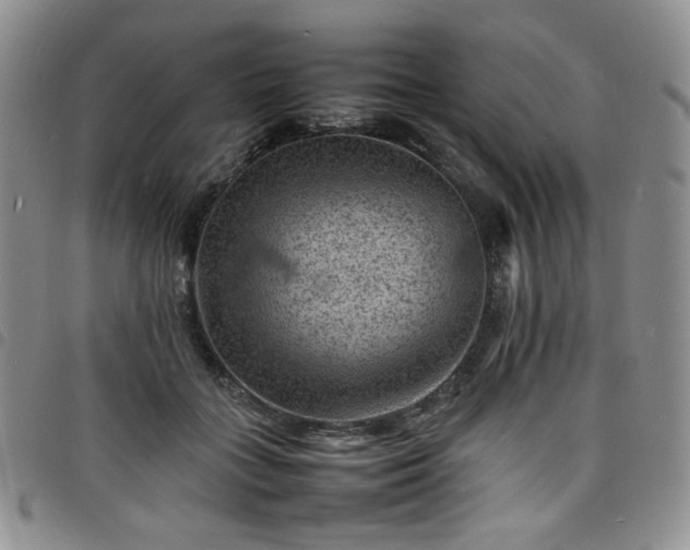 X0000098160555200804241806