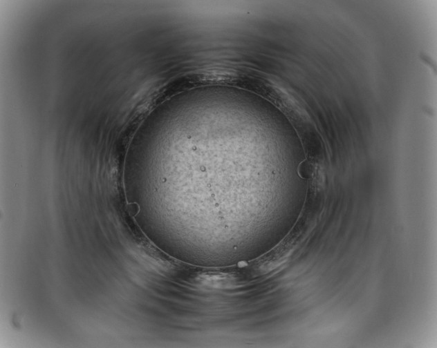 X0000098160557200804241806