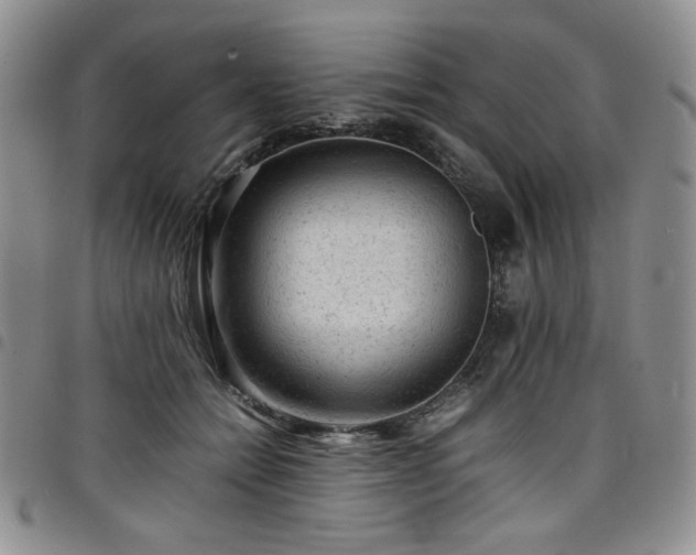 X0000098160558200804241806