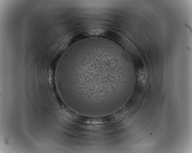 X0000098160559200804241806