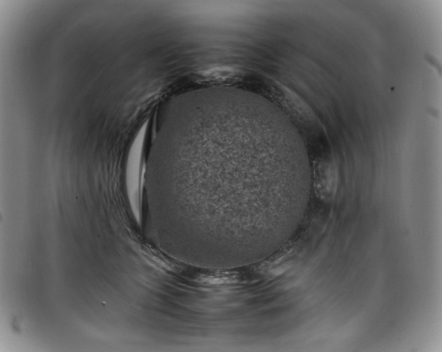 X0000098160563200804241806