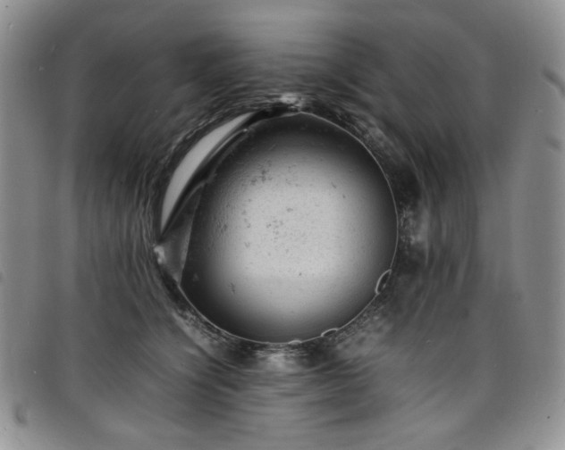 X0000098160564200804241806