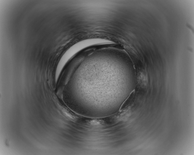 X0000098160566200804241806