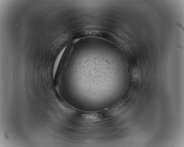 X0000098160567200804241806