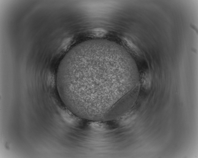 X0000098160568200804241806
