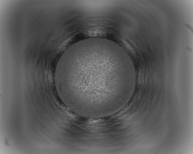 X0000098160569200804241806