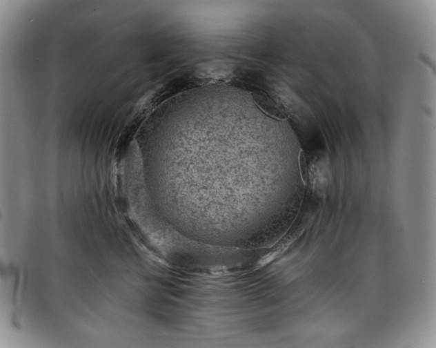 X0000098160570200804241806