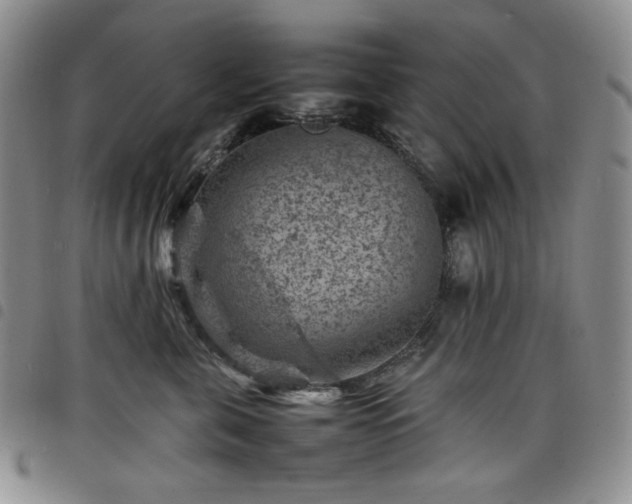 X0000098160571200804241806