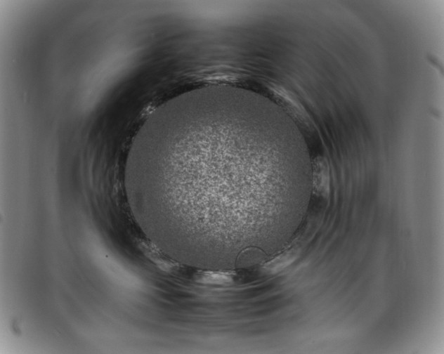X0000098160573200804241806
