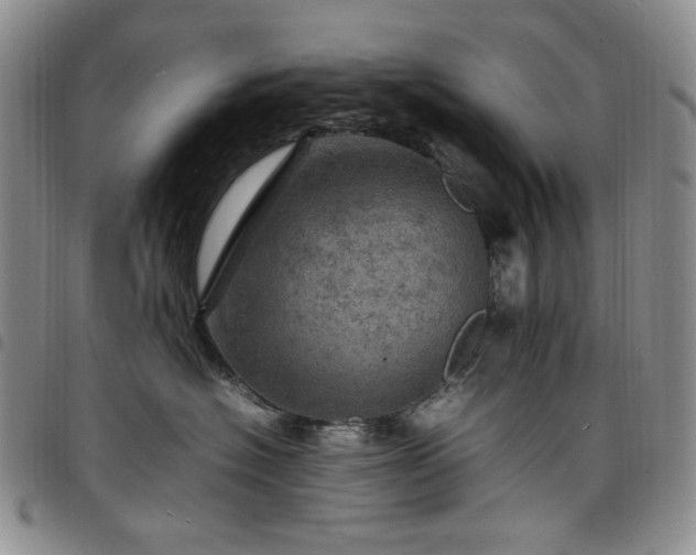 X0000098160574200804241806