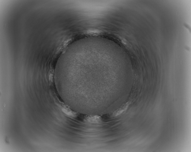 X0000098160576200804241806