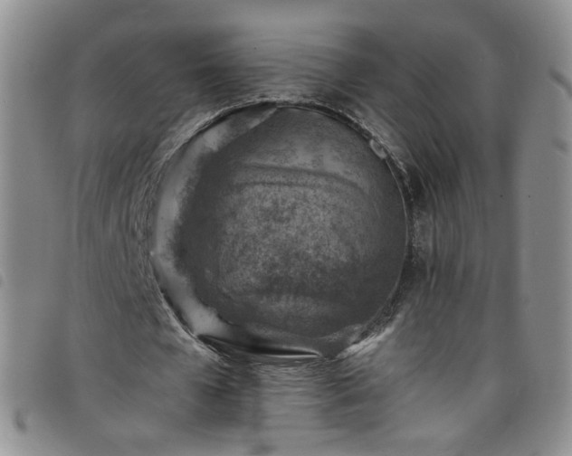 X0000098160577200804241806
