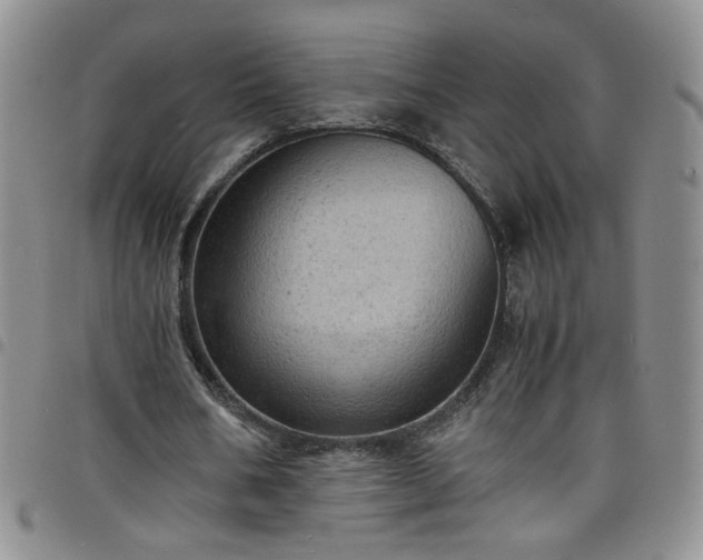 X0000098160578200804241806