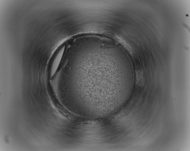 X0000098160580200804241806