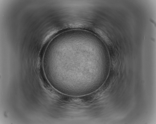X0000098160583200804241806