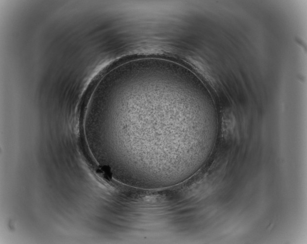 X0000098160584200804241806