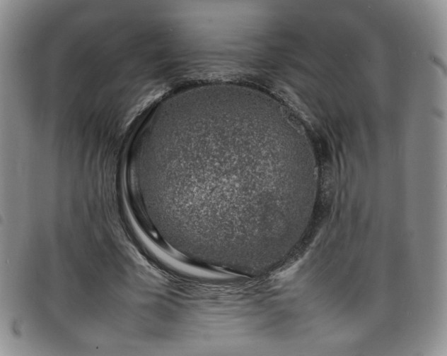 X0000098160585200804241806