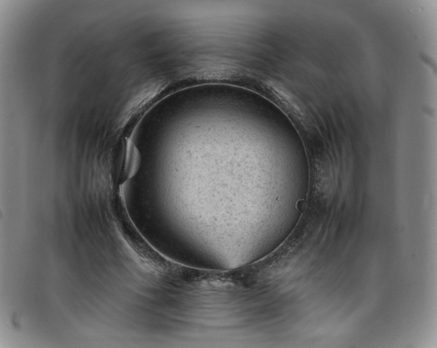 X0000098160586200804241806