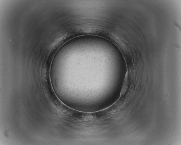 X0000098160587200804241806