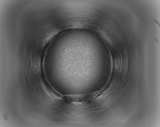 X0000098160588200804241806