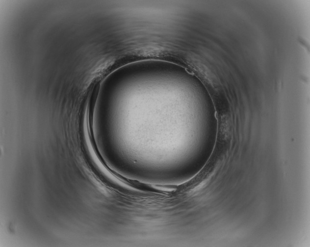 X0000098160589200804241805