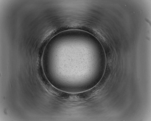 X0000098160591200804241805