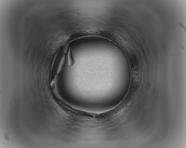 X0000098160593200804241805