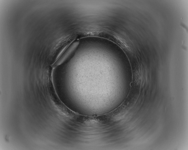 X0000098160594200804241805