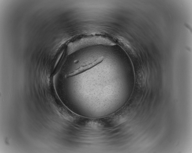X0000098160596200804241805
