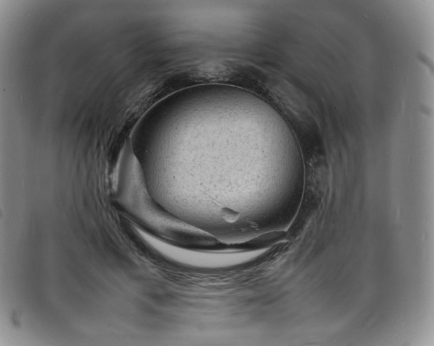 X0000098160597200804241805