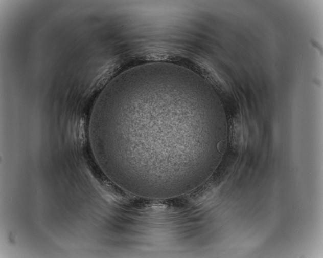 X0000098160598200804241805