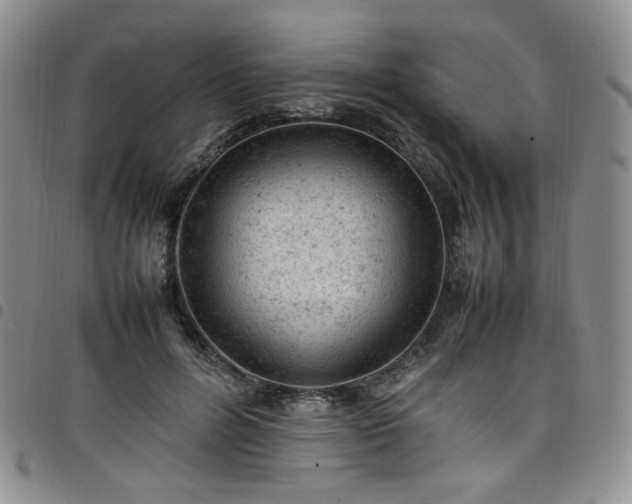 X0000098160600200804241805