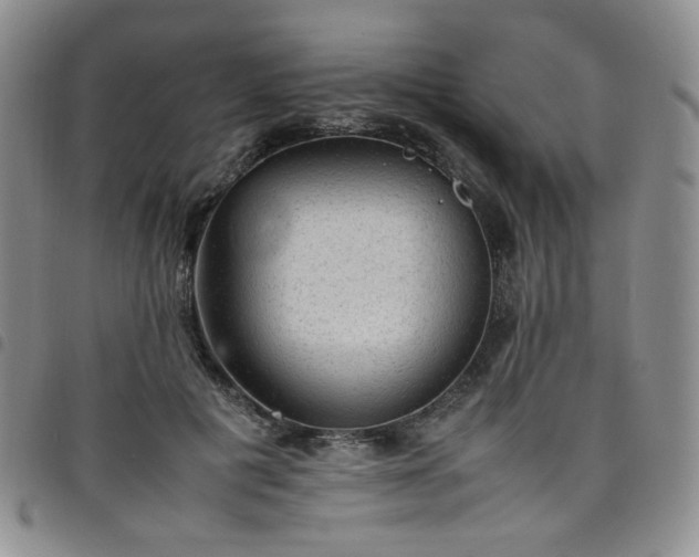 X0000098160601200804241805