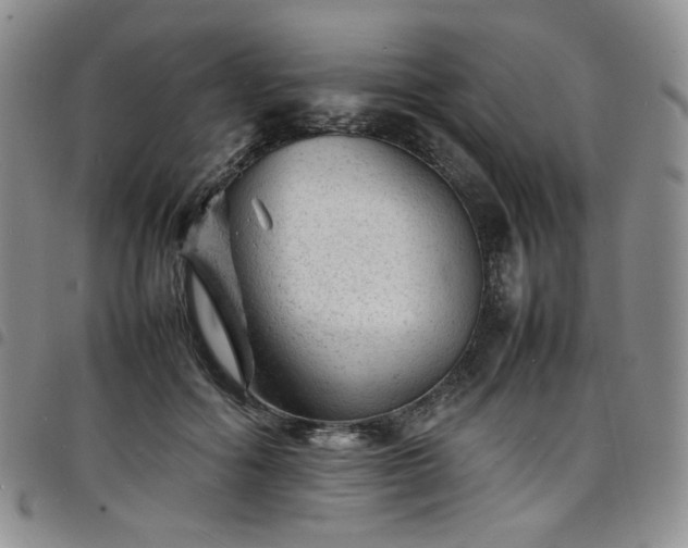 X0000098160602200804241805