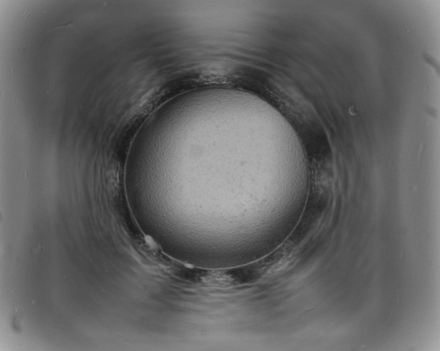 X0000098160603200804241805