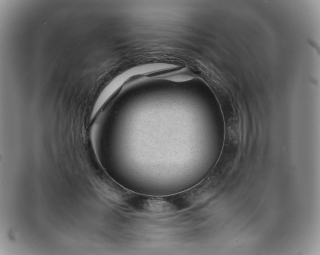 X0000098160605200804241805