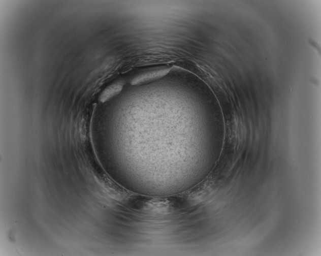 X0000098160606200804241805