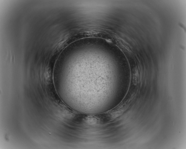 X0000098160608200804241805